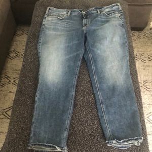 Silver Jeans Company size 22 cropped jeans